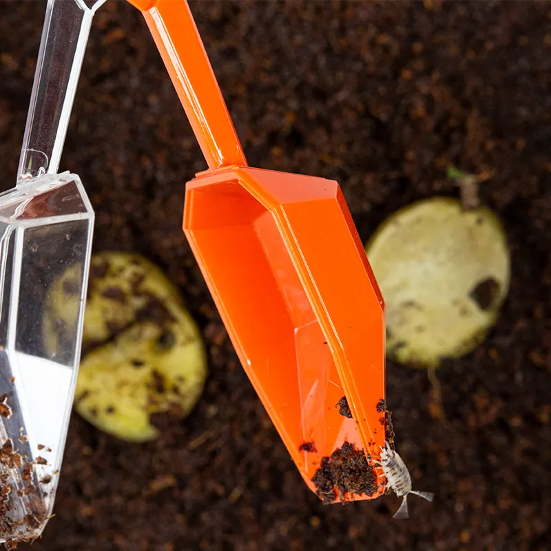 Hagemann Beobachtungsset Asseln