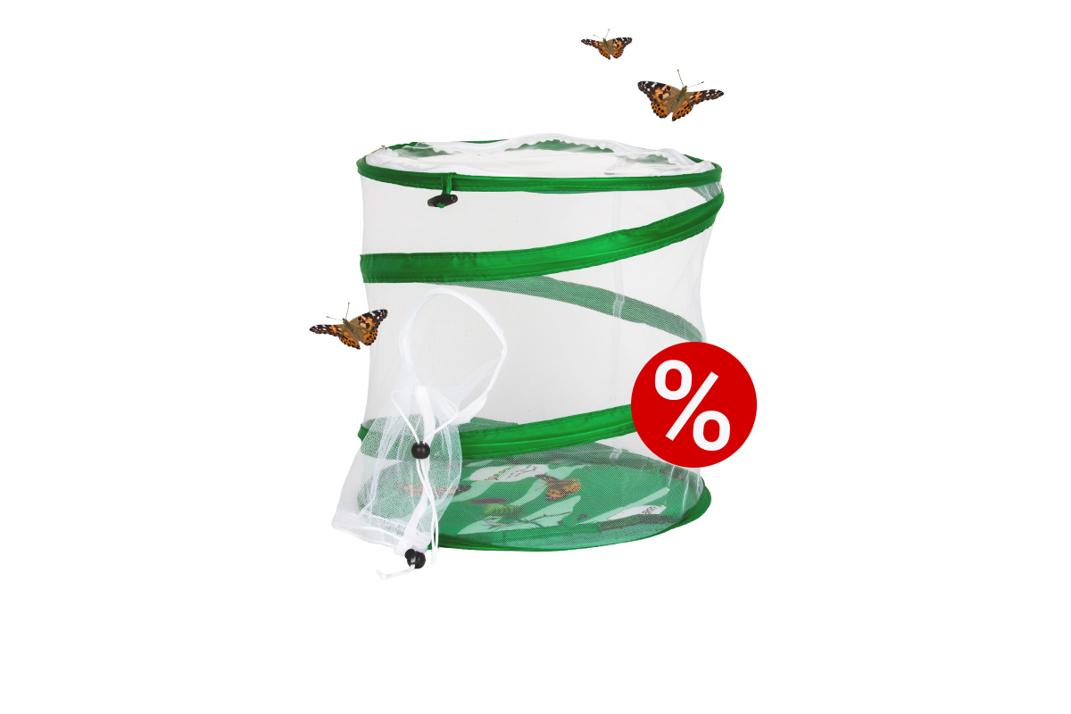 angebote_2026_011