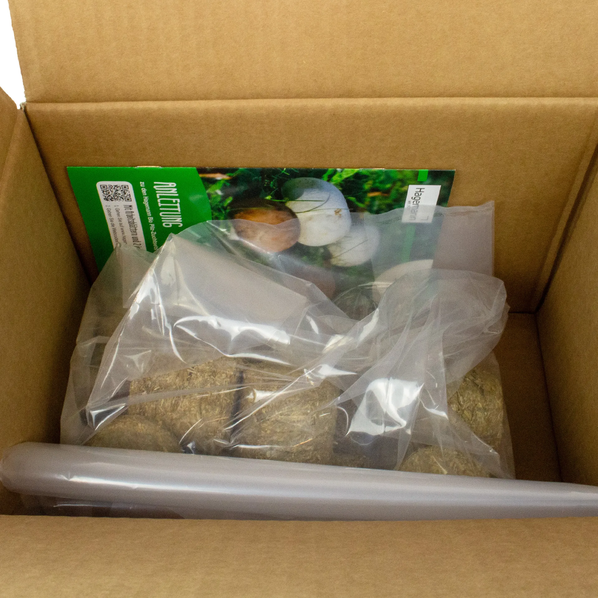 Hagemann Pilz-Zuchtset Braunkappe