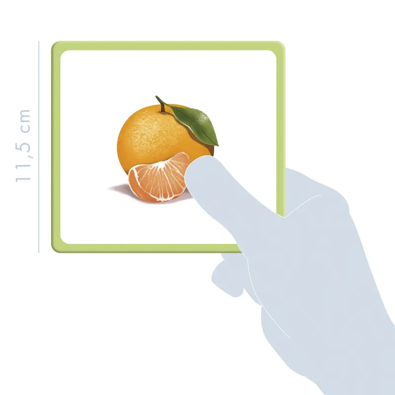 Bildkarten Früchte, 24-tlg.