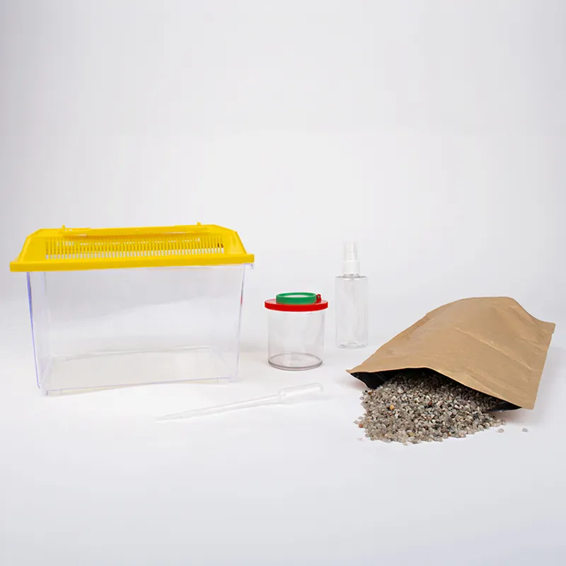 Hagemann Schnecken-Beobachtungs-Set