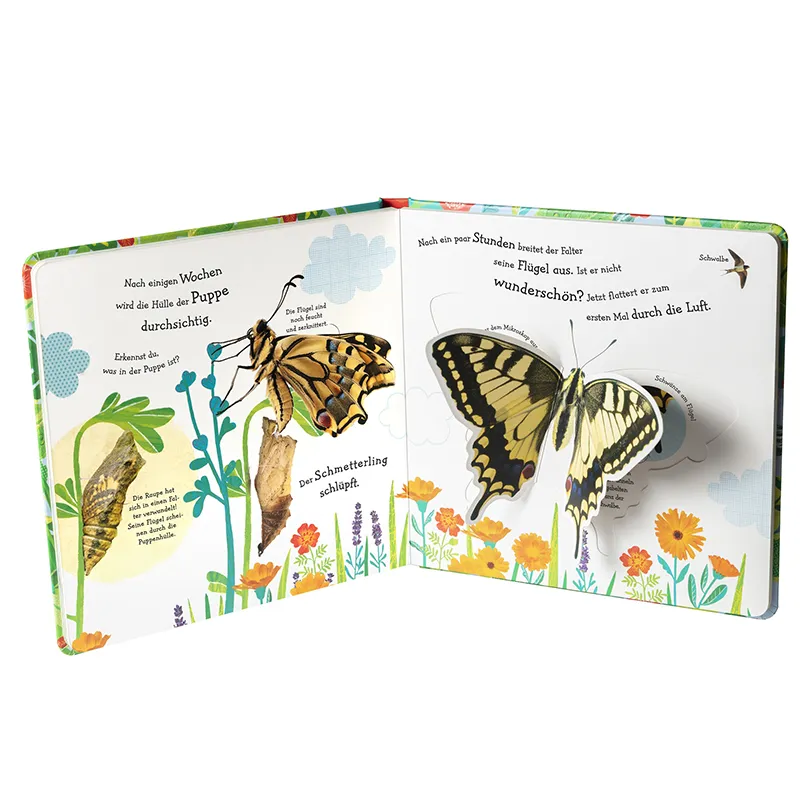 Wie wird die Raupe zum Schmetterling?