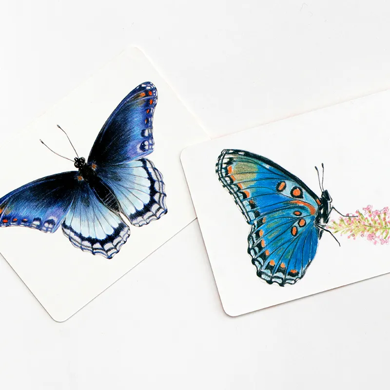 Schmetterlinge und ihre Flügel – Ein Memo-Spiel