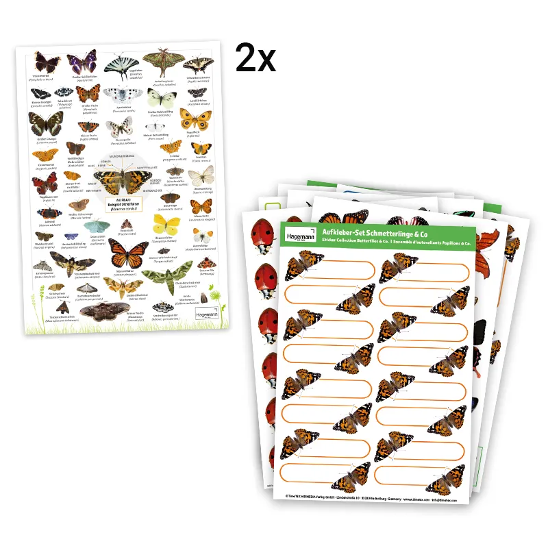Hagemann Schmetterlings-Zuchtset, groß (10 Raupen)