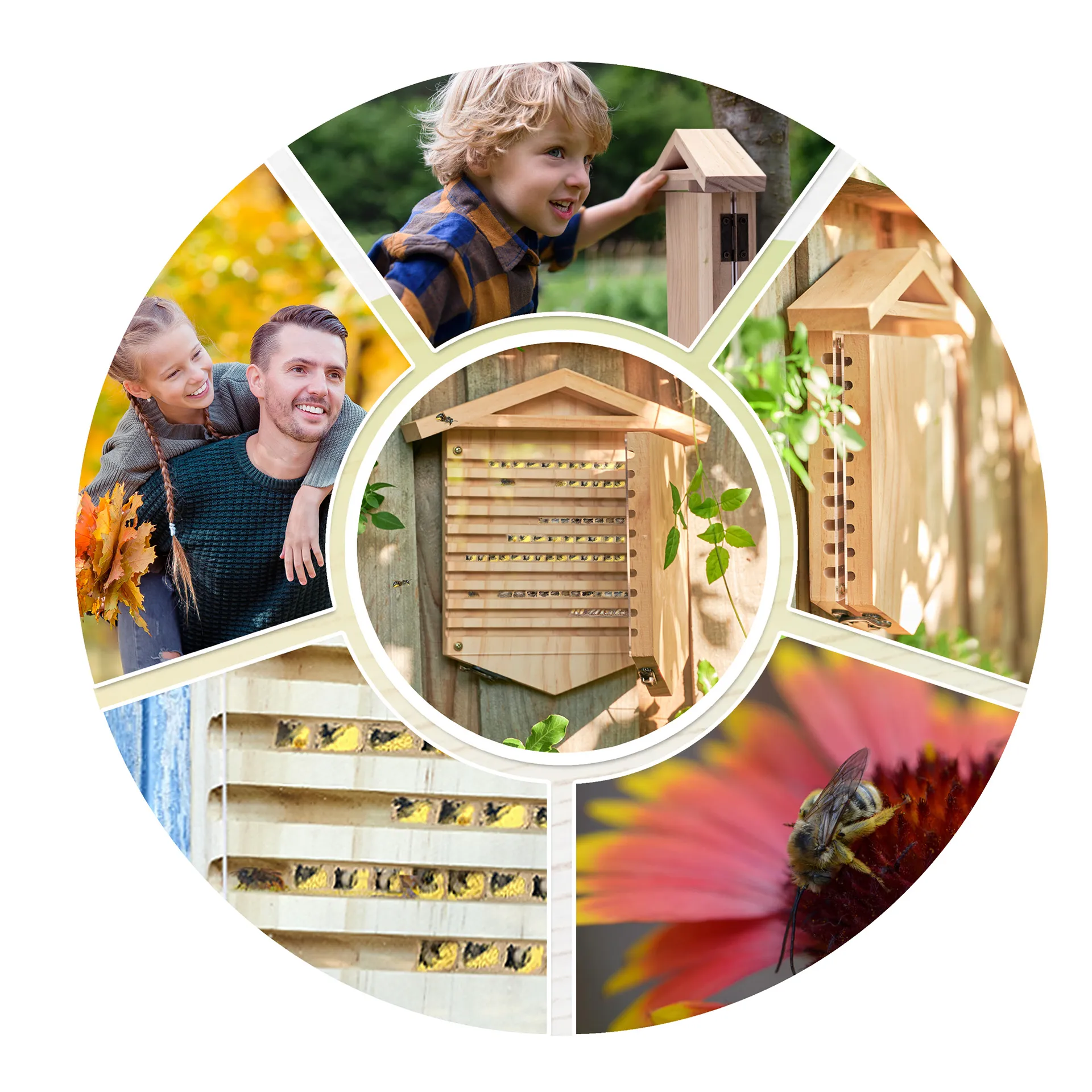 Wildbienen-Beobachtungshotel zum Aufklappen