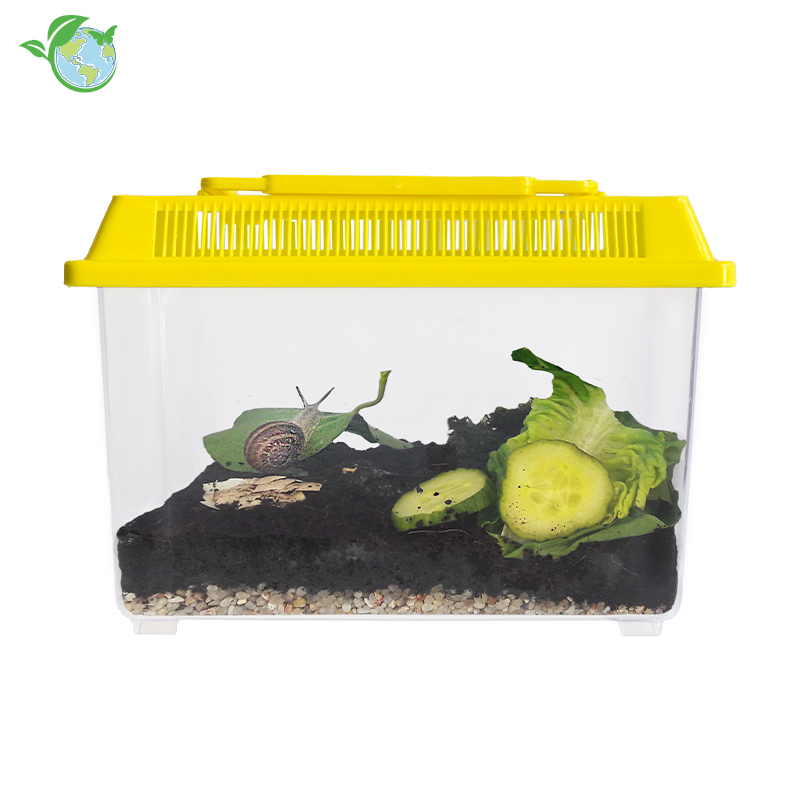 Hagemann Schnecken-Beobachtungs-Set