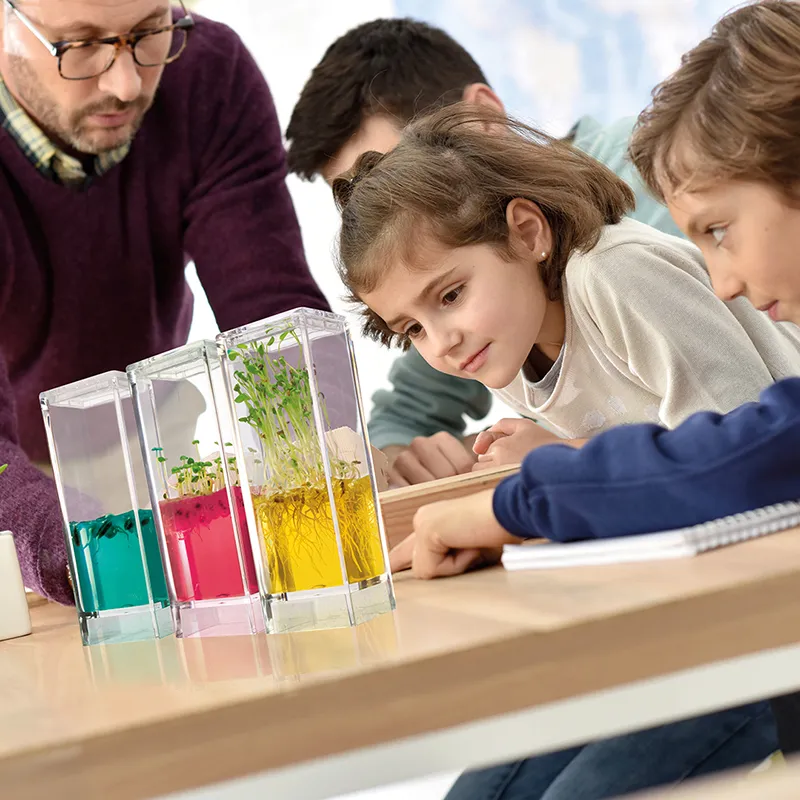 Pflanzen-Keimstation