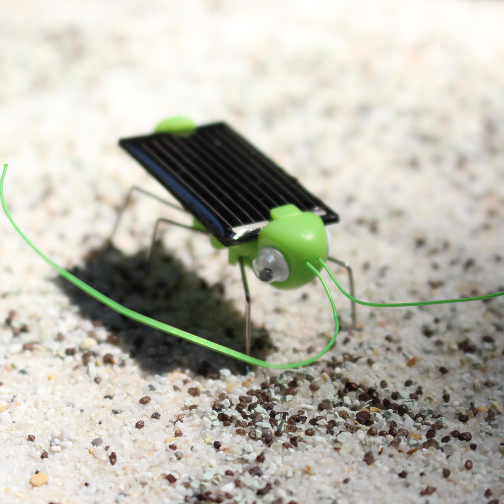 Solar-Grashüpfer