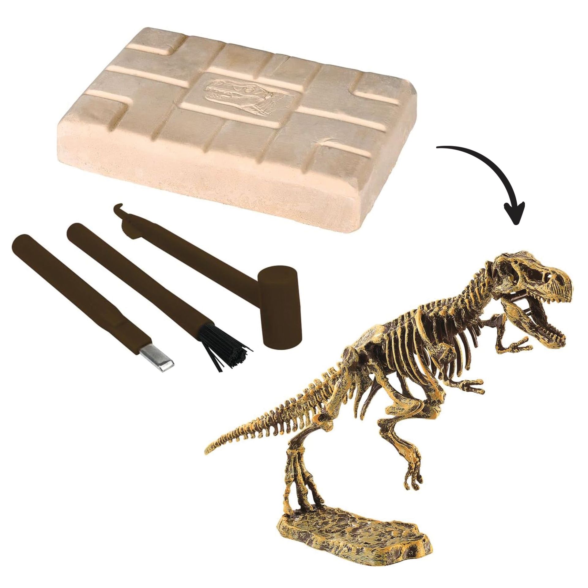 Dinosaurier-Ausgrabungsset T-Rex, groß, 6-tlg.