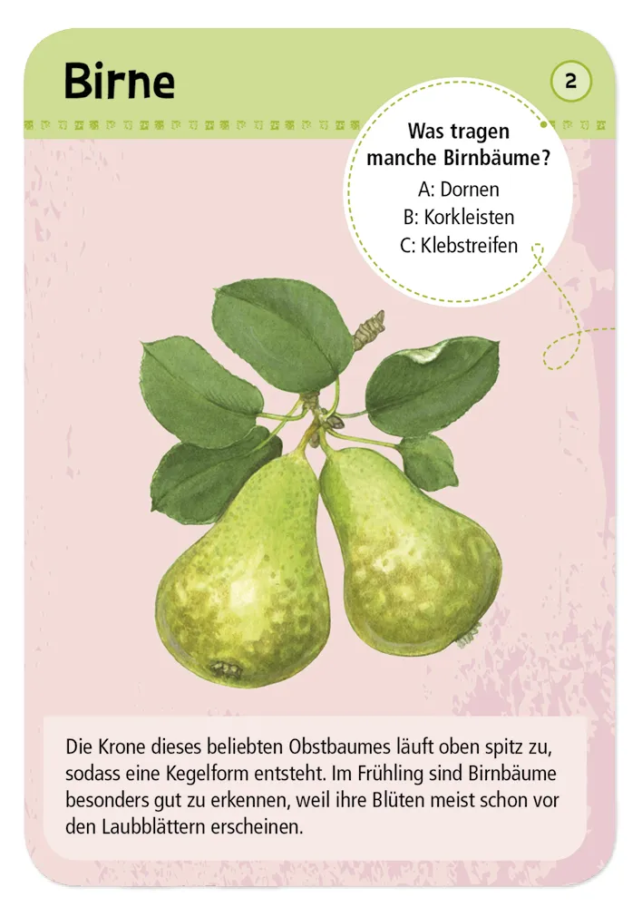 50 Garten- & Feldpflanzen entdecken und bestimmen