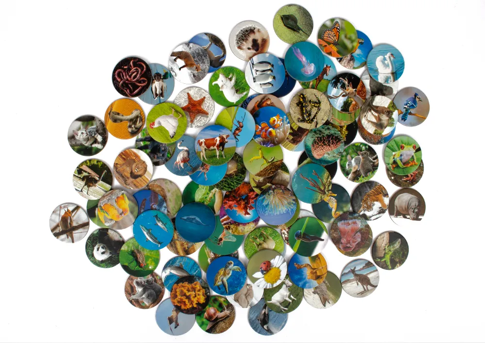 Lernspiel Tierwelten entdecken und klassifizieren