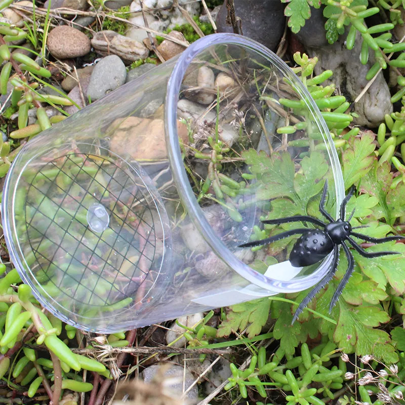 Hagemann Lupendose Natur & digital (mit 2 Vergrößerungen und Maßstab)