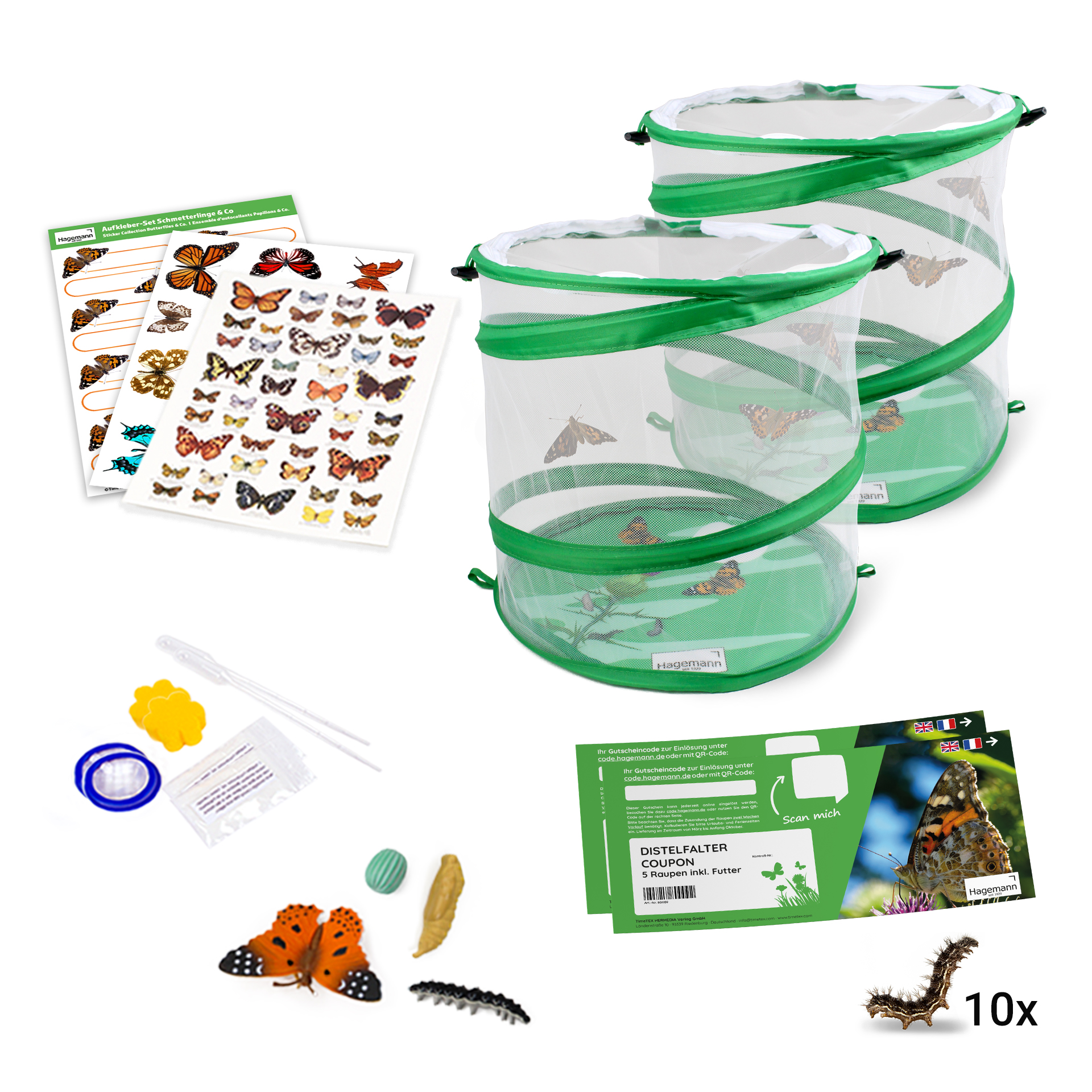 Klassenprojektset Tiere züchten und beobachten