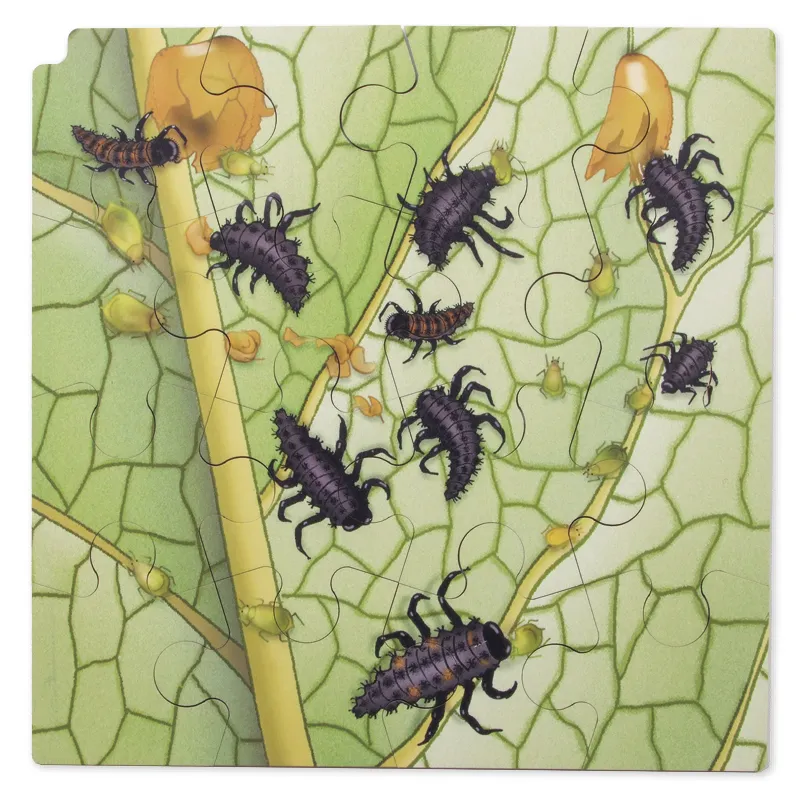 Schichten-Puzzle "Marienkäfer" + gratis APP, 86-tlg.