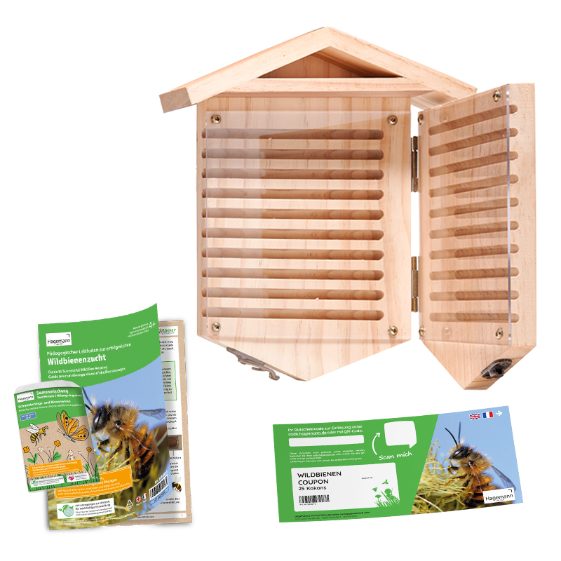 Hagemann Zuchtset Wildbienen zum Aufklappen, Rote Mauerbiene (mit Gutschein, 25 Kokons)