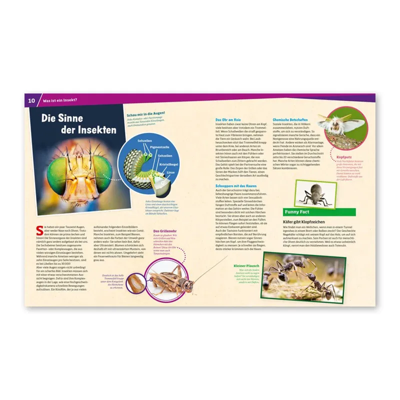 WAS IST WAS Insekten (Band 30)