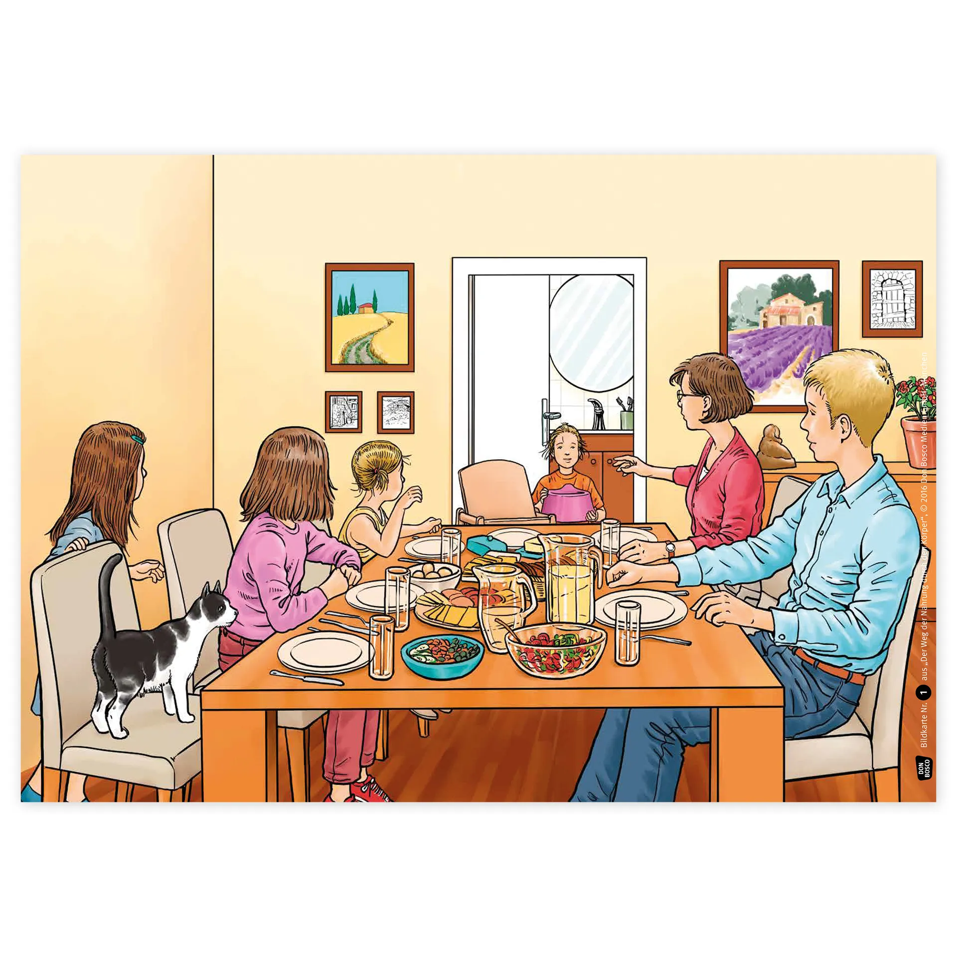 Bildergeschichten-Karten "Der Weg der Nahrung durch den Körper", 12-tlg.