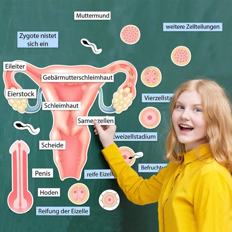 Hagemann Magnetbilder – Wie ein Kind entsteht