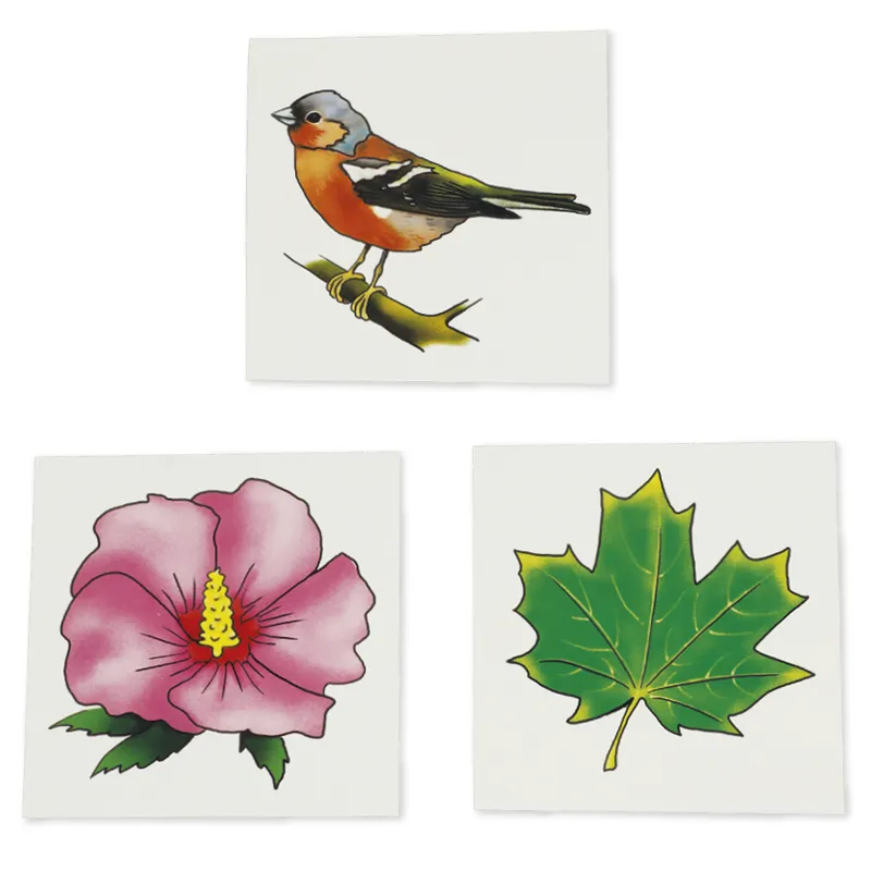 Bilderbox "Vocabular Tiere, Pflanzen, Natur"