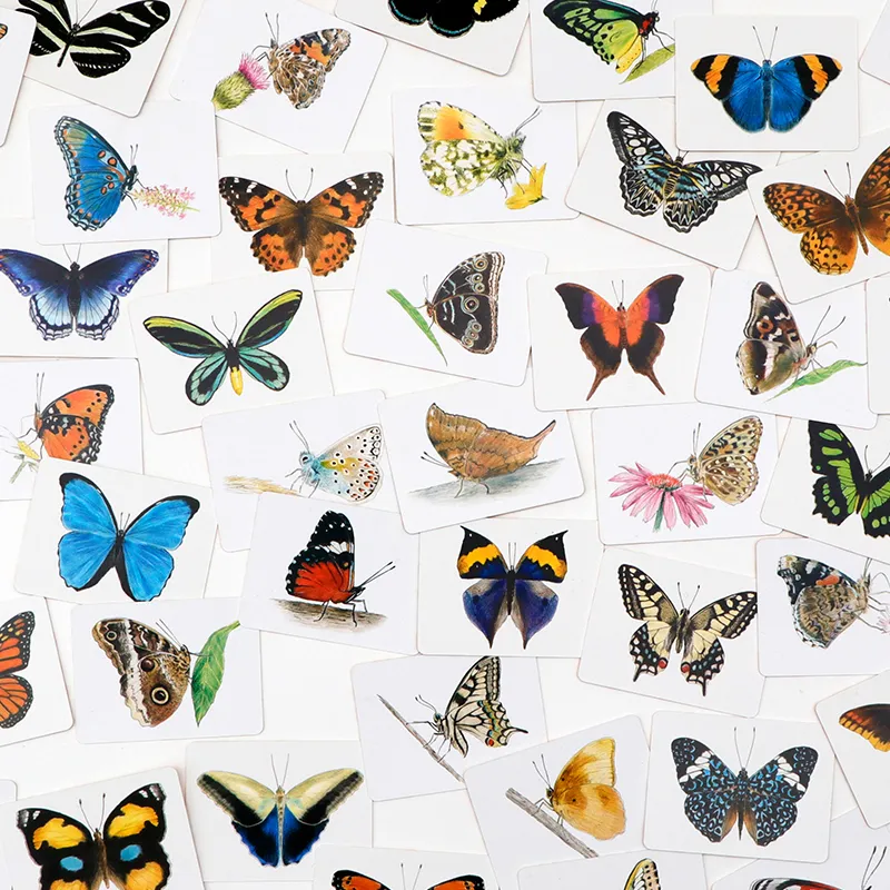 Schmetterlinge und ihre Flügel – Ein Memo-Spiel