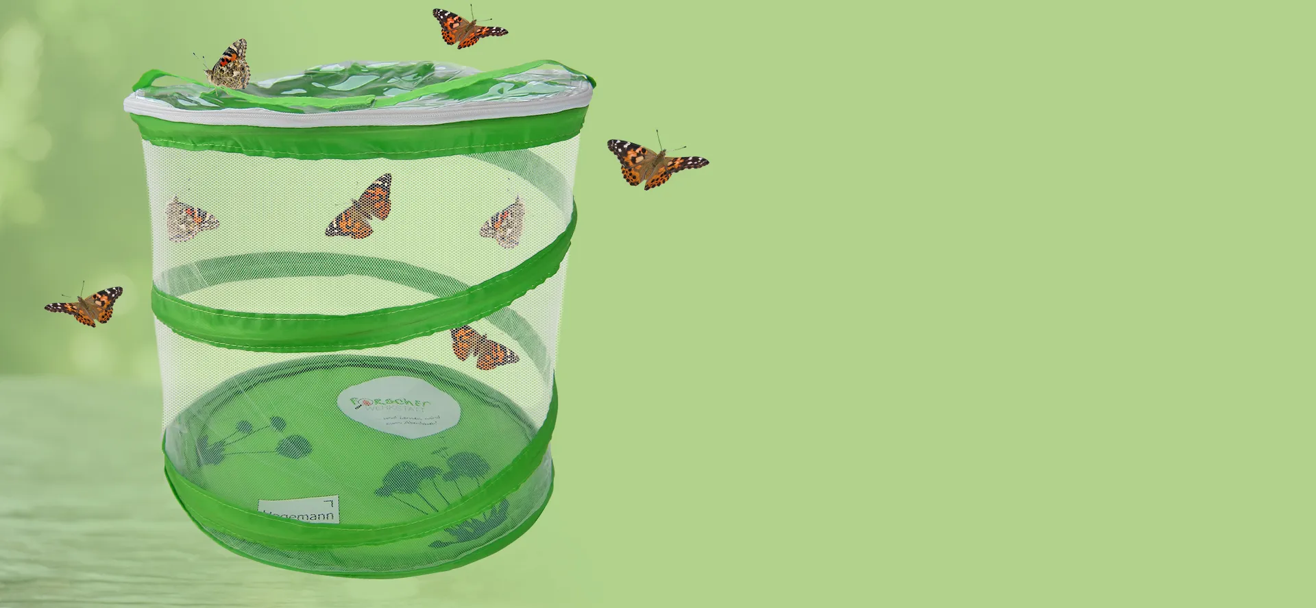 Kategorie_Zuchtset_357_165_(4)