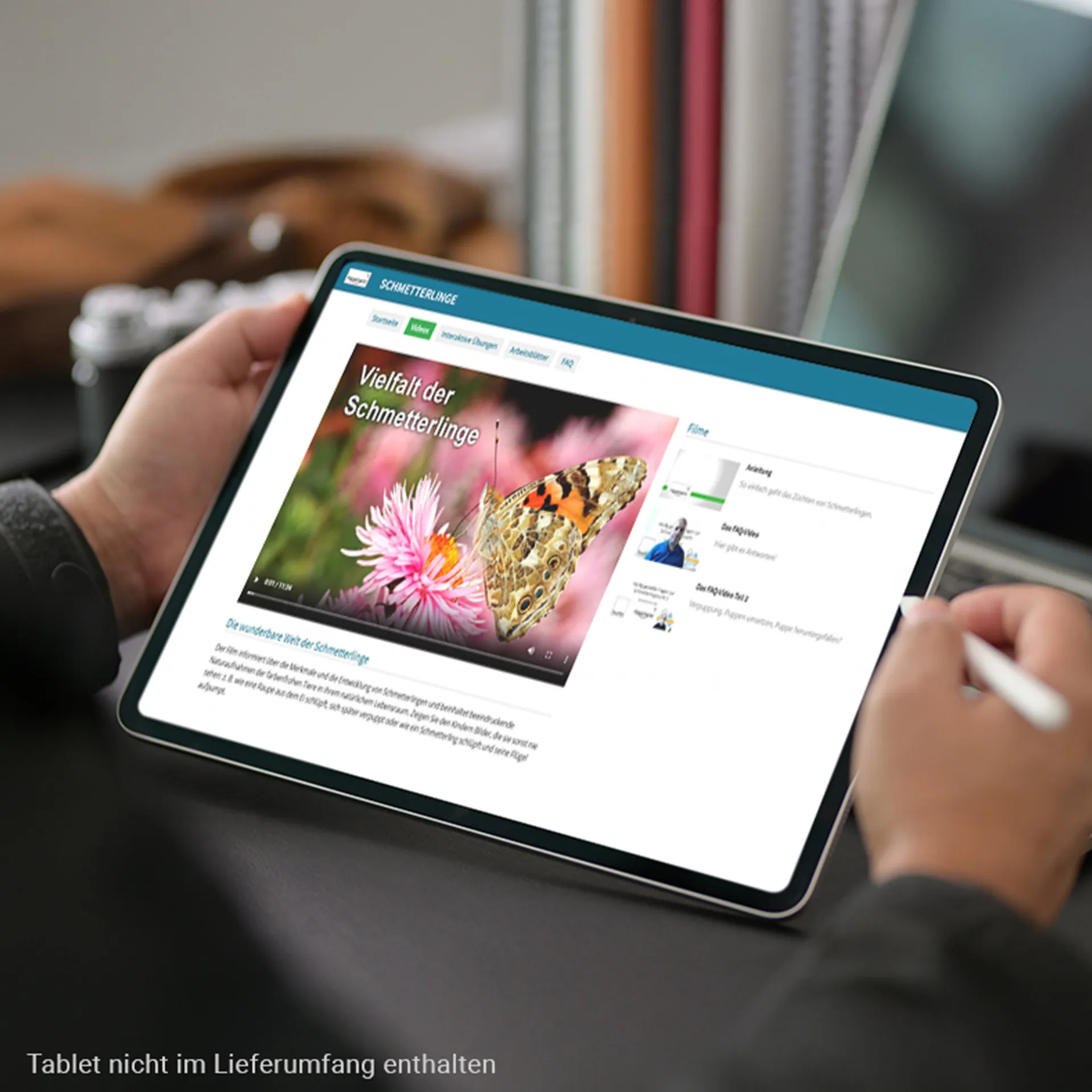 Hagemann Schmetterlings-Zuchtset mit Komfort-Eingriff (5-7 Raupen)