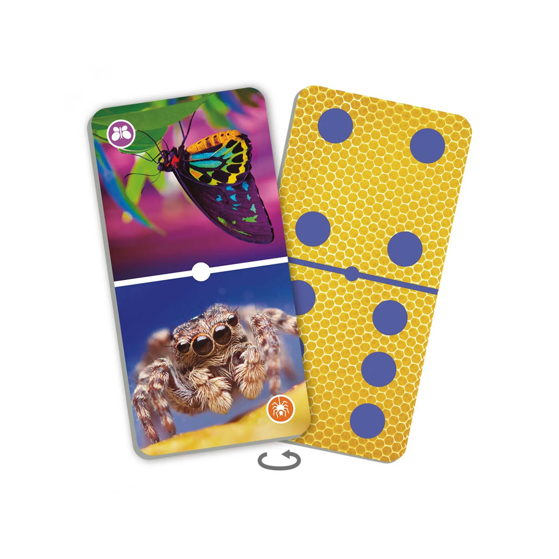 Insekten-Domino