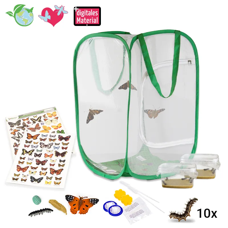 Hagemann Schmetterlings-Zuchtset, groß mit XXL-Voliere (mind. 10 Raupen)
