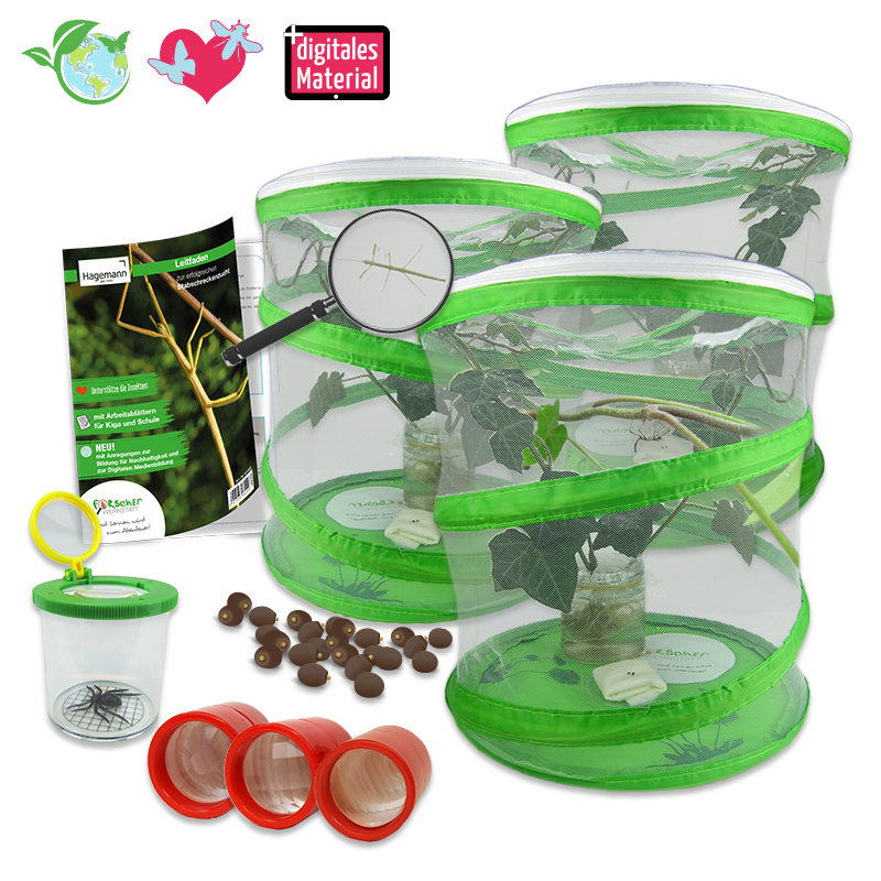 Hagemann Gruppenprojektset Stabschrecken