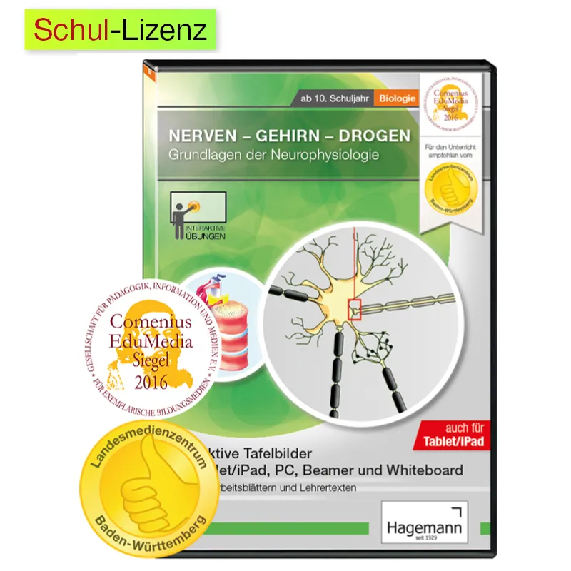 Interaktive Tafelbilder Nerven-Gehirn-Drogen (tabletfähig)