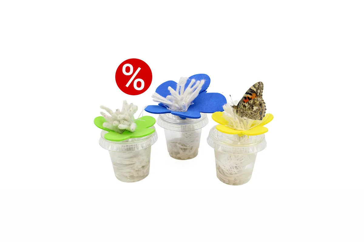 angebote_2026_020
