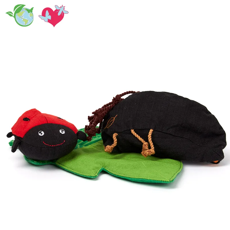 Wendepuppe Lebenszyklus Marienkäfer, 4-tlg 