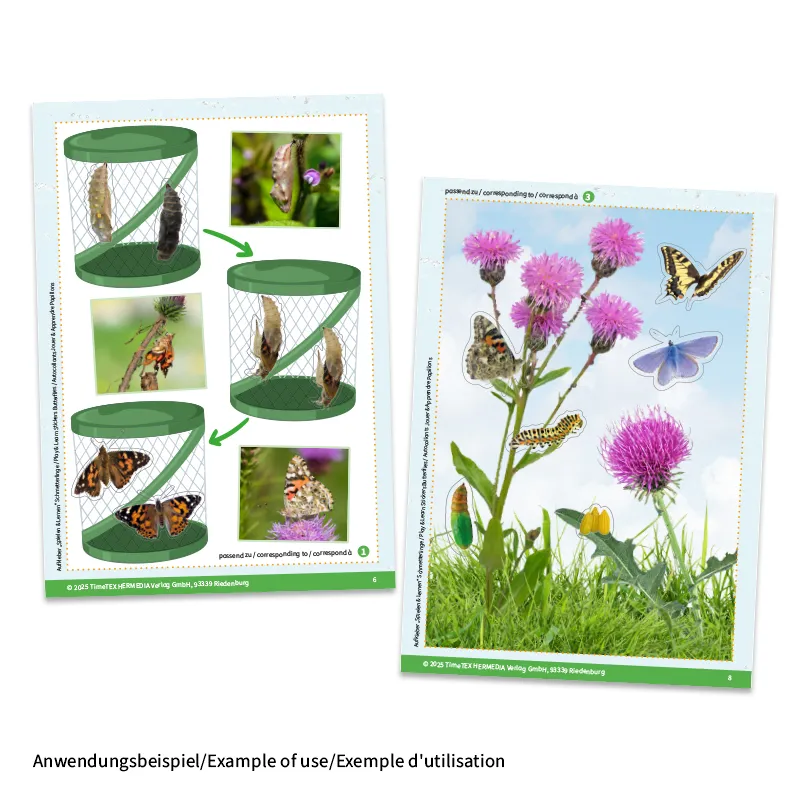 Aufkleber „Spielen und Lernen“ Schmetterlinge, 227-tlg.