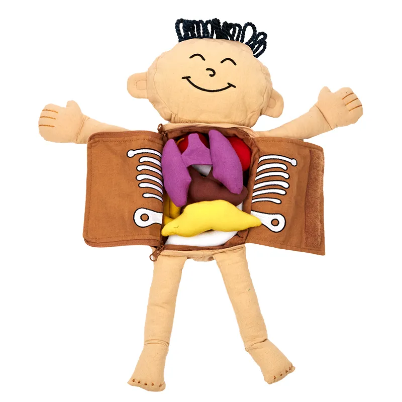 Hagemann Forscherpuppe Mein Körper