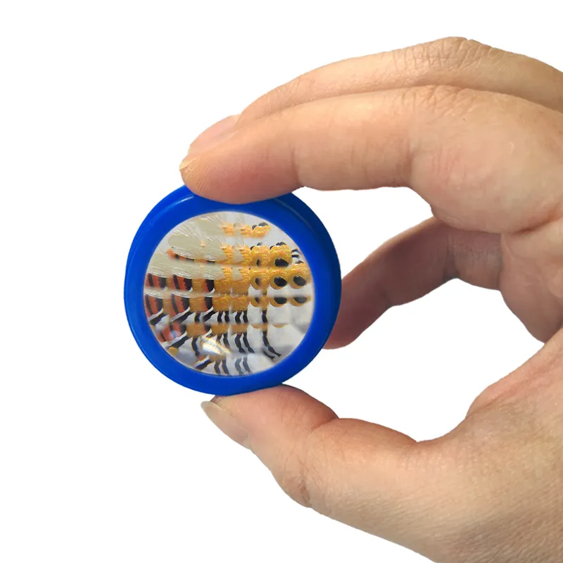 Hagemann Schmetterlings-Zuchtset, kompakt (mit Gutschein, 5-7 Raupen)