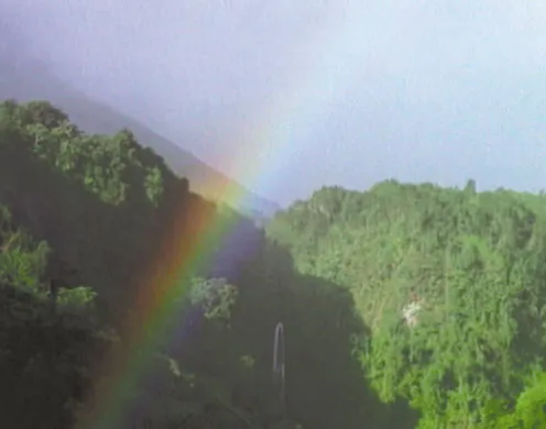 DVD-Lehrfilm Optik, Licht und Farbe