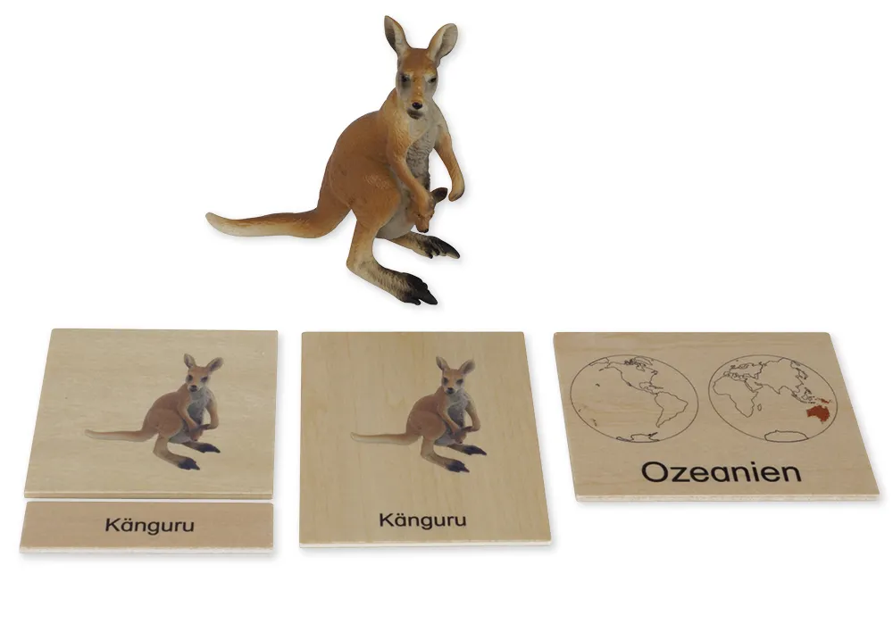 TimeTEX Tier-Kontinent-Box "Montessori Premium"