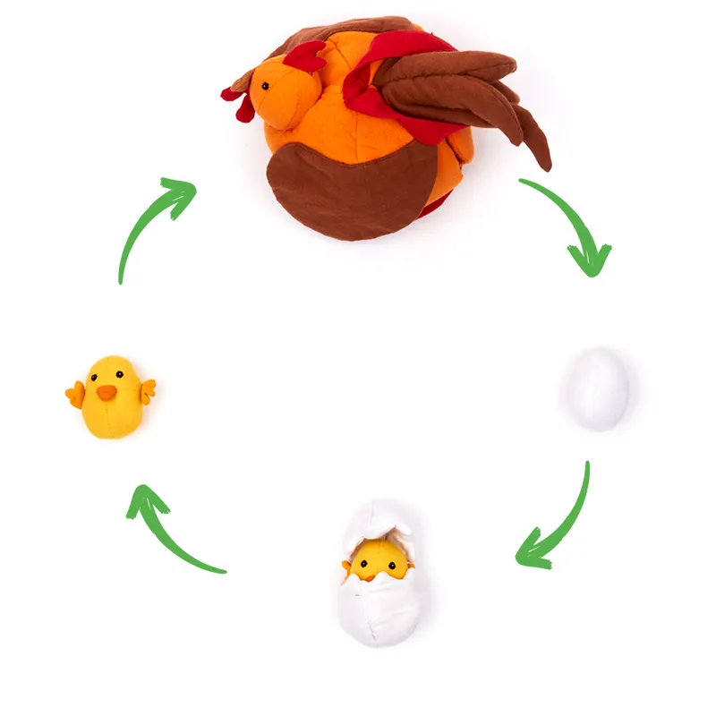 Stoffmodell Lebenszyklus Huhn mit Küken