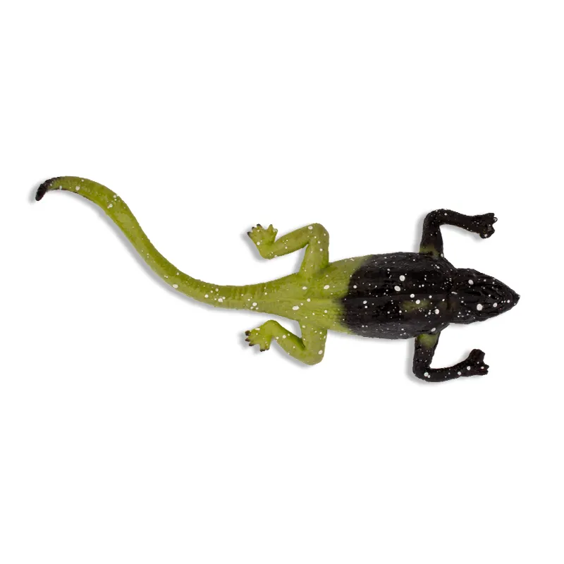 Farbwechselnde Eidechse