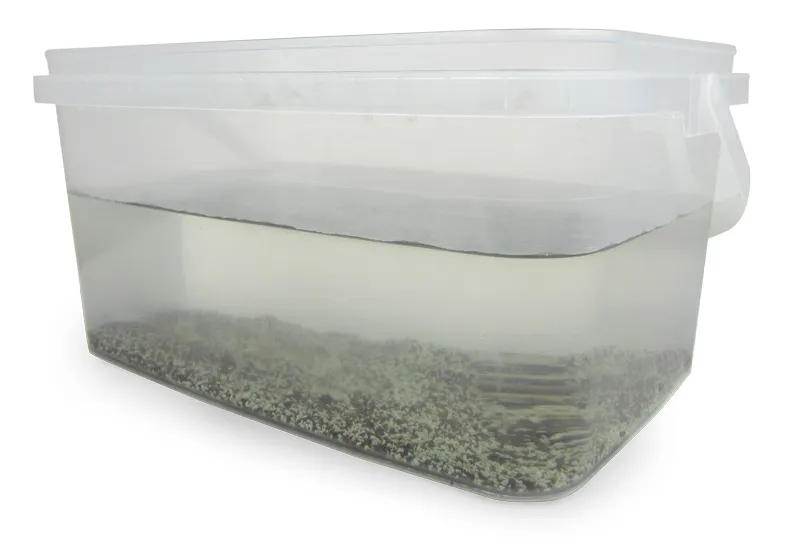 Hagemann Zuchtset Triops