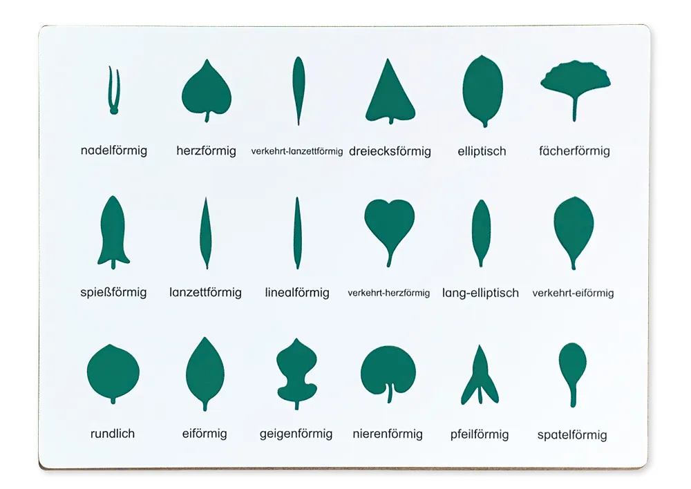 TimeTEX Kontrolltafel für die botanische Kommode "Montessori Premium"