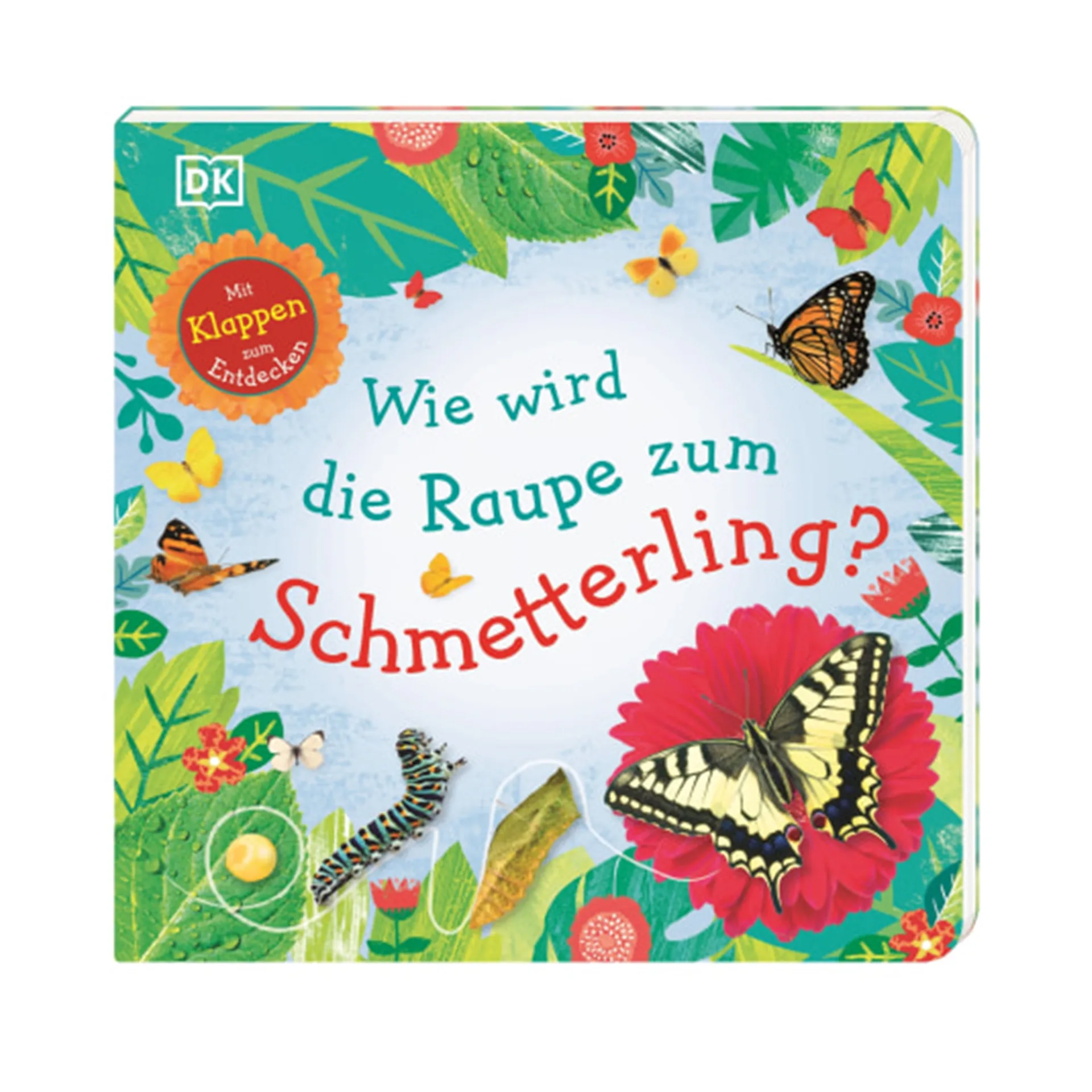 Wie wird die Raupe zum Schmetterling?