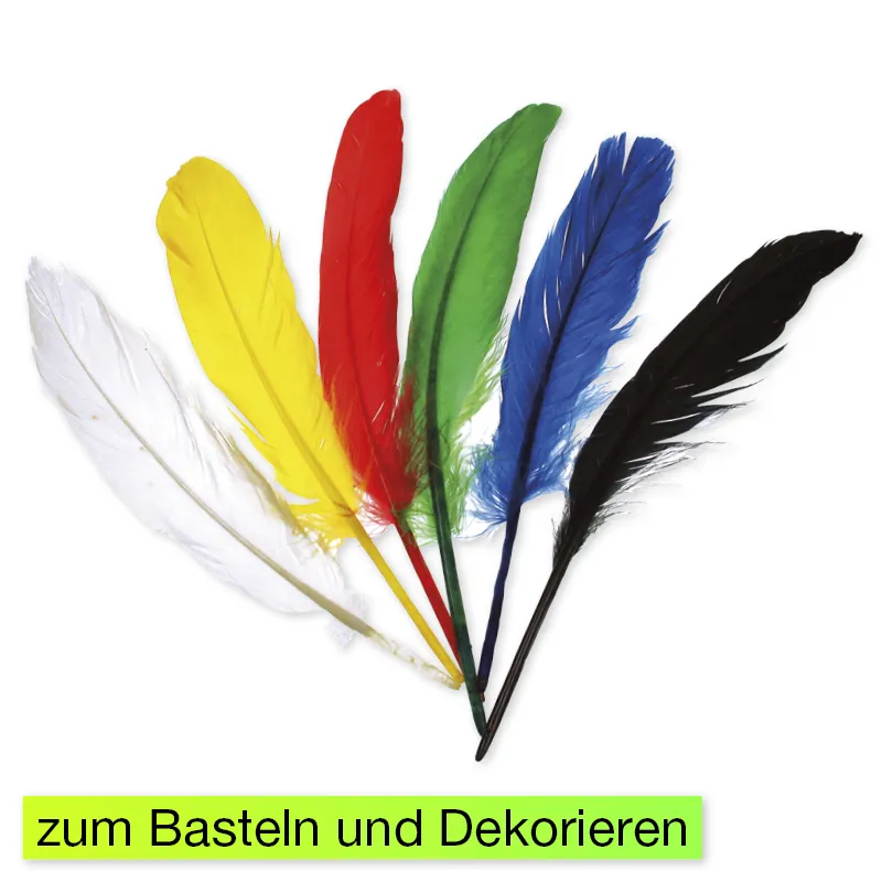 Große Federn in 6 Farben, 17 Stück