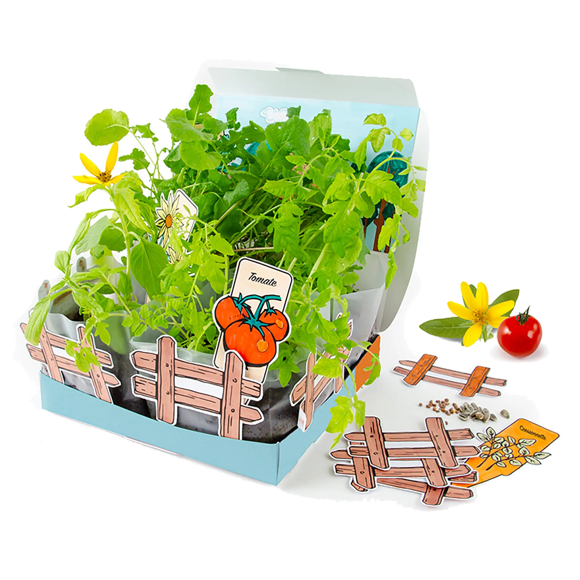 Taschenpflanzset, 4er Set
