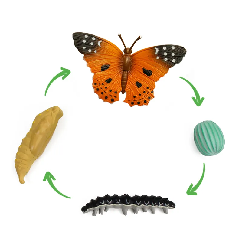 Hagemann Forscherkoffer Schmetterlings-Zucht