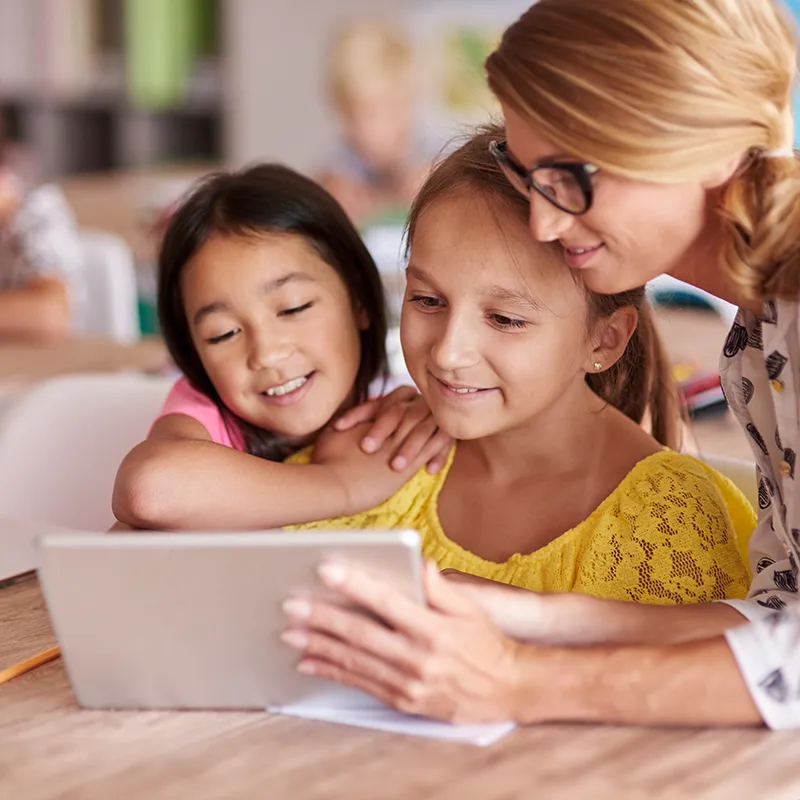 Hagemann Lebenszyklus der Honigbiene (Modelle)