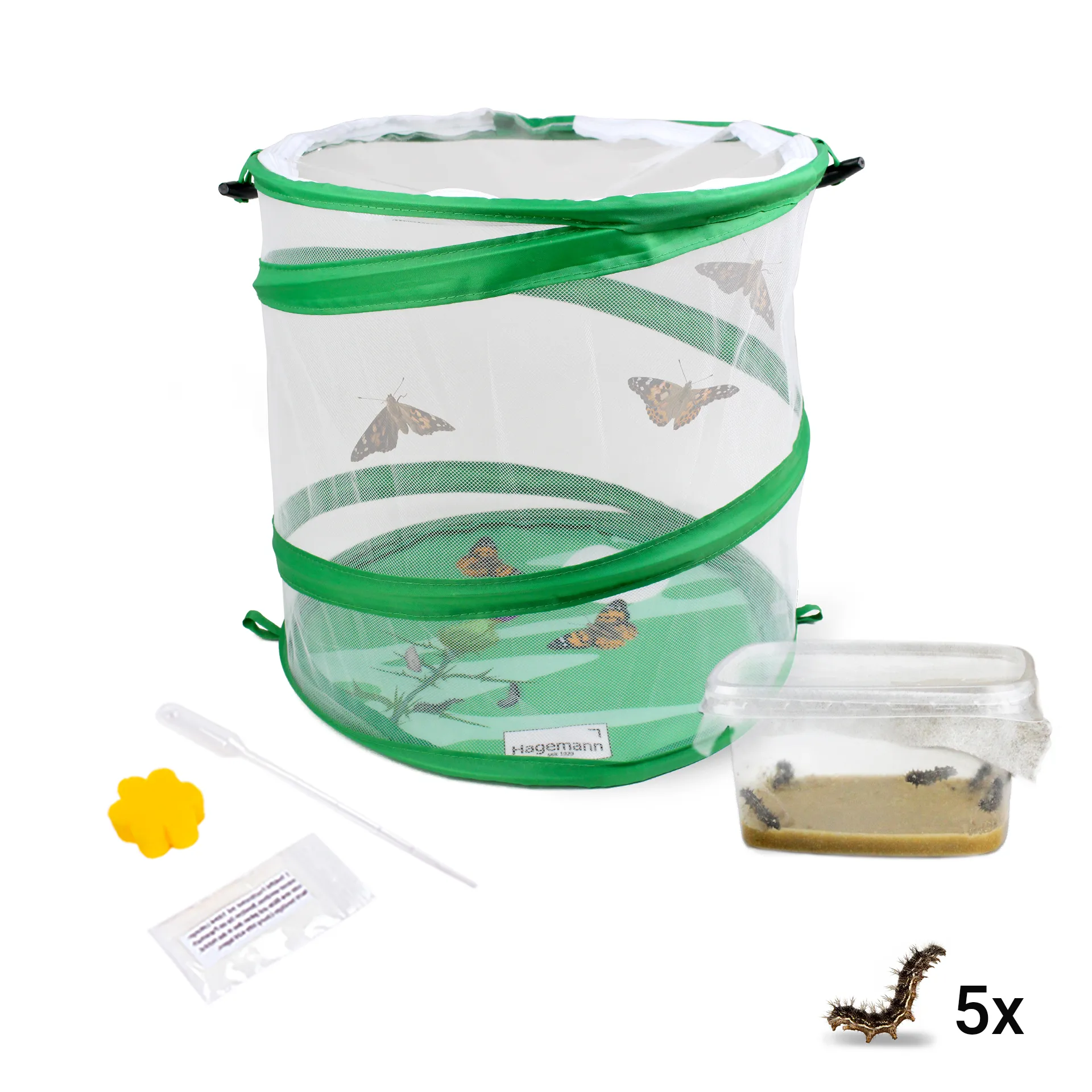 Hagemann Schmetterlings-Zuchtset, Starter (5 Raupen)