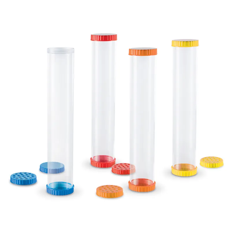 Erste Sinnes- und Riechröhren (4 Stück)