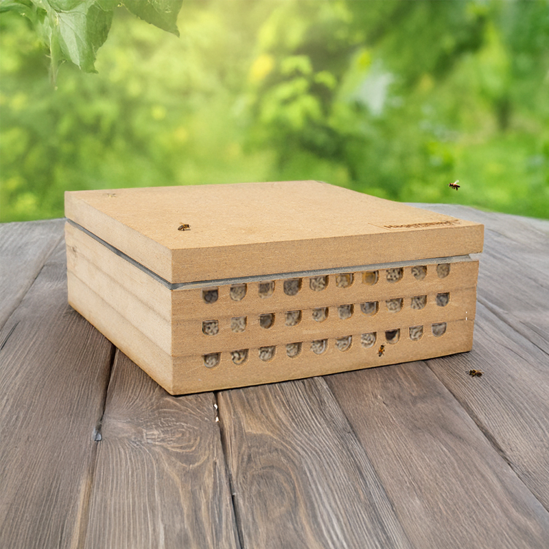 Hagemann Zuchtset Wildbienen, kompakt, Rote Mauerbiene (mit Gutschein, 25 Kokons)