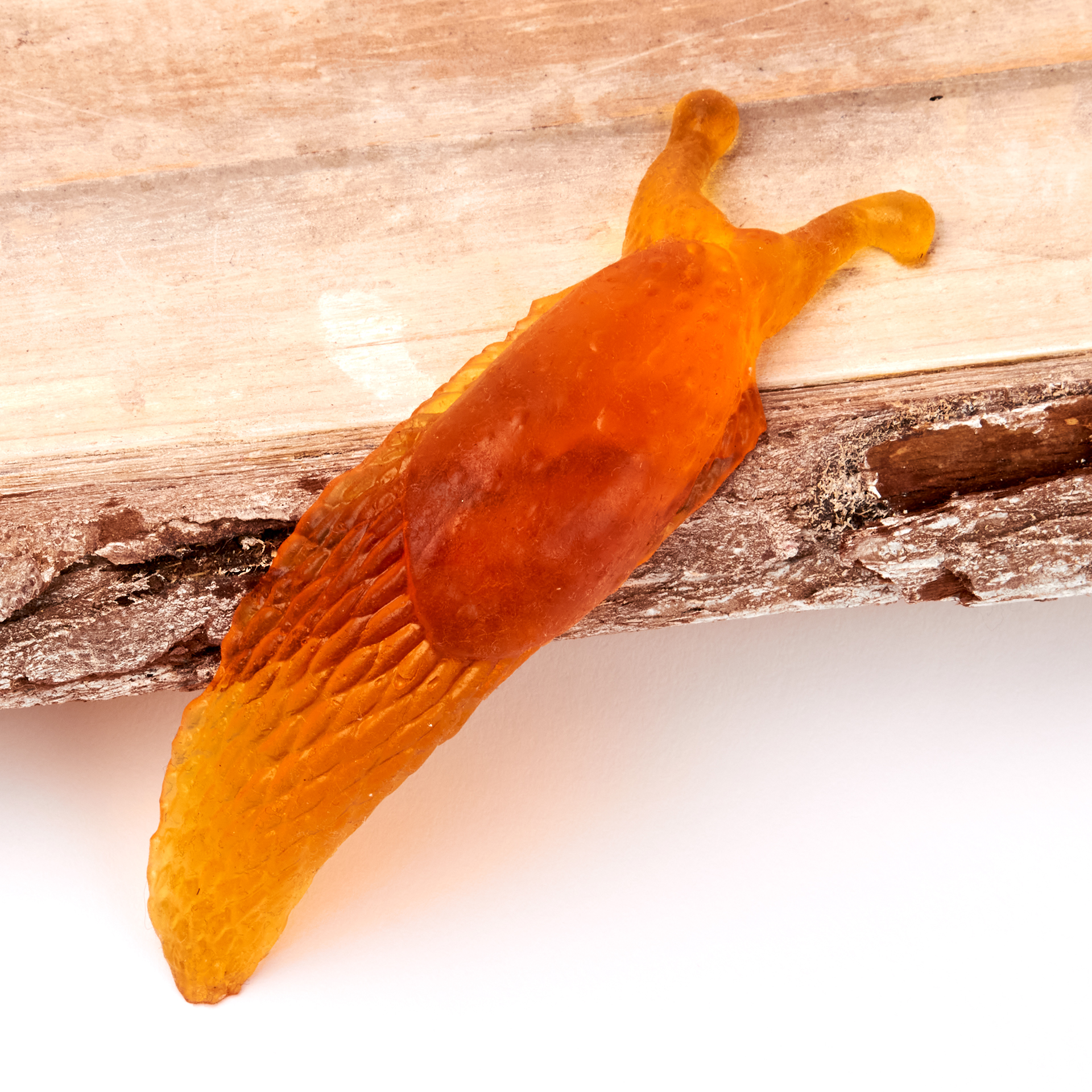 Modell Nacktschnecke